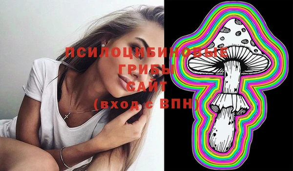 сатива Михайловка
