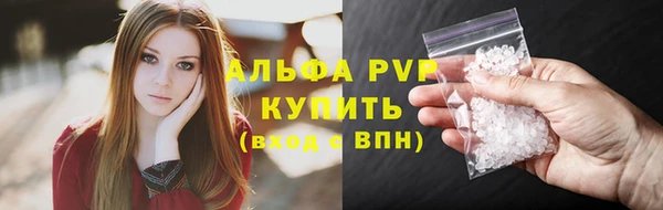 сатива Михайловка