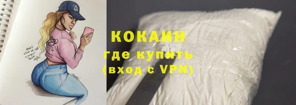 сатива Михайловка