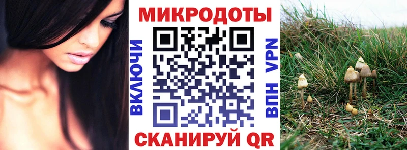 Псилоцибиновые грибы GOLDEN TEACHER  Елизаветинская 